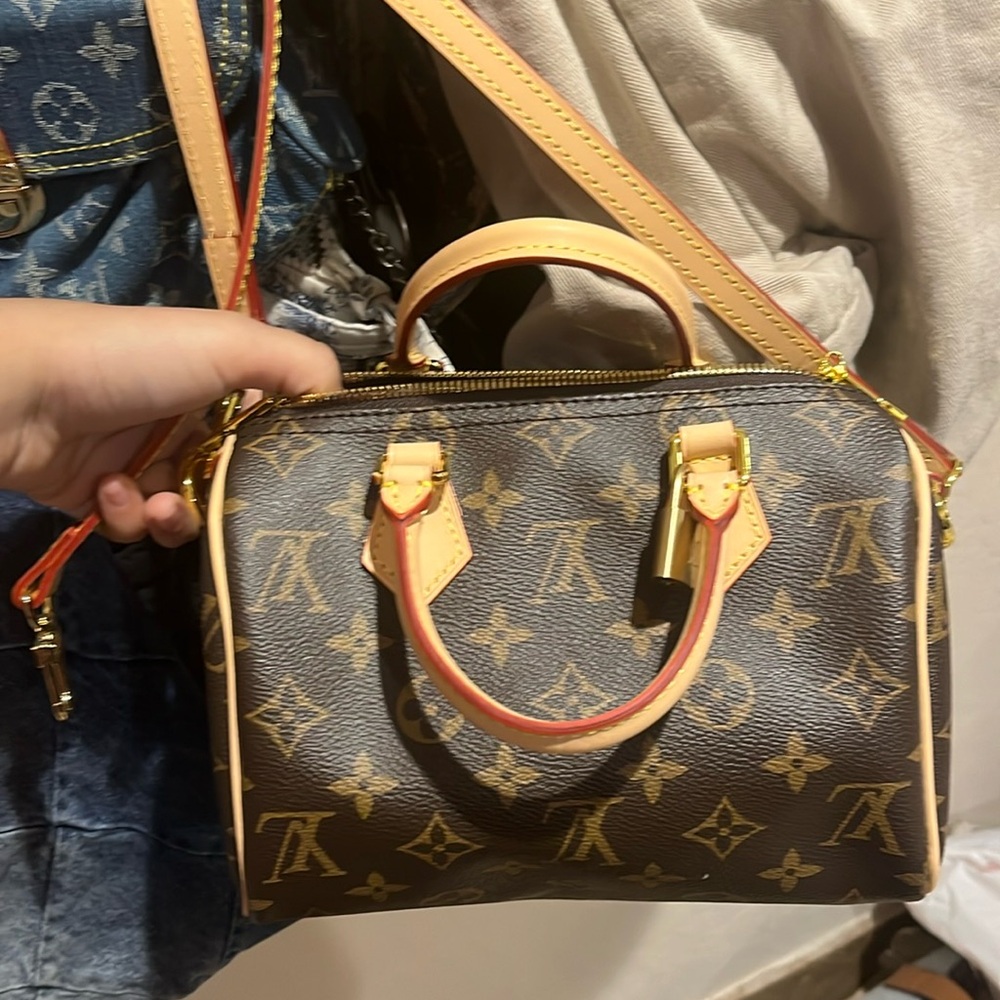 Lv bag